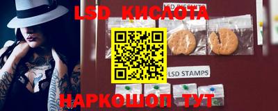 прущие грибы Жуковский